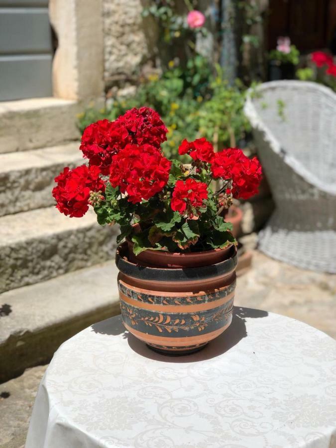 Monte B. Exclusive Apartment Rovinj Bagian luar foto